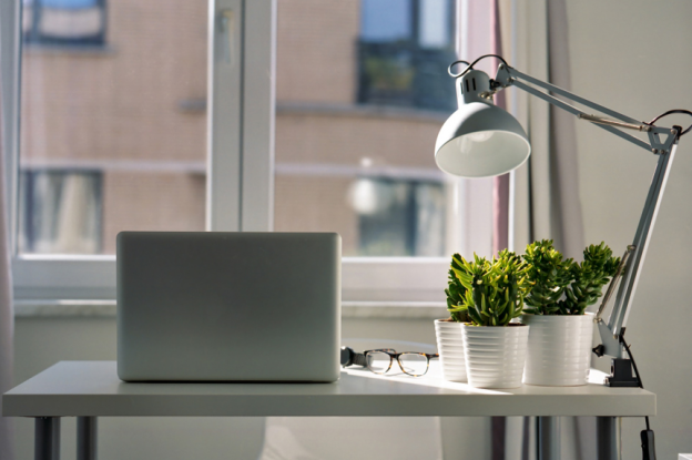 Benefits of Indoor Plants for Your Office