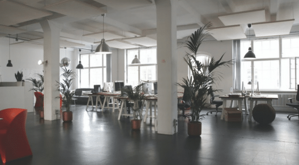 3 Natural Interior Design Ideas For Your Office