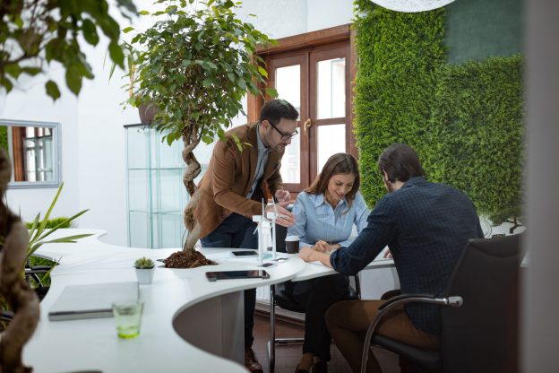Benefits Of Green Offices On Employee Health And Productivity