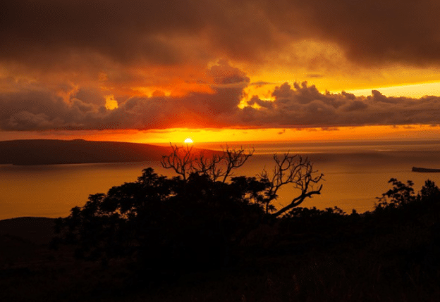 Wailea Elua Is a Popular Choice for Maui Real Estate Investors